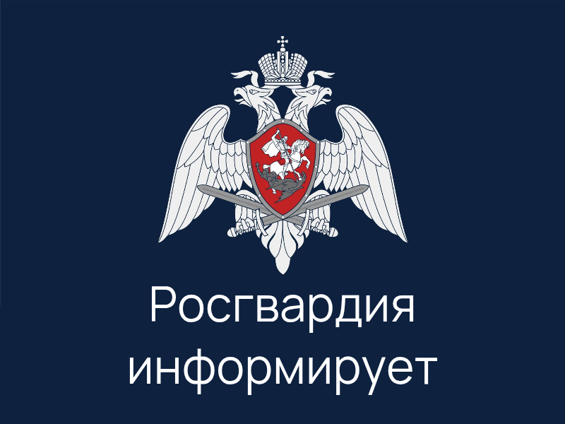 Подразделения Росгвардии и органов внутренних дел продолжают принимать незаконно хранящиеся оружие, боеприпасы, взрывчатые вещества и материалы.